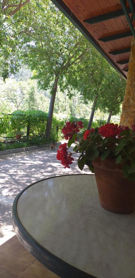 Pensjonat Cortijo El Cercadillo Bedmar y Garciez Zewnętrze zdjęcie